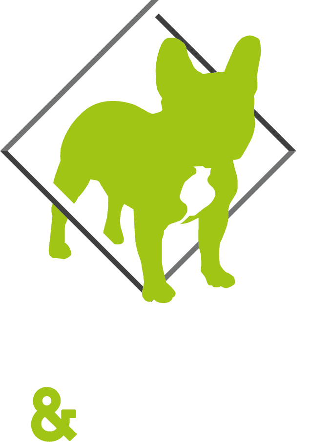 Bull & Sports Sistema de Entrenamiento